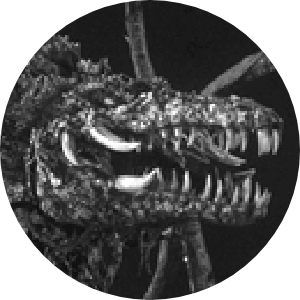 ビオランテ