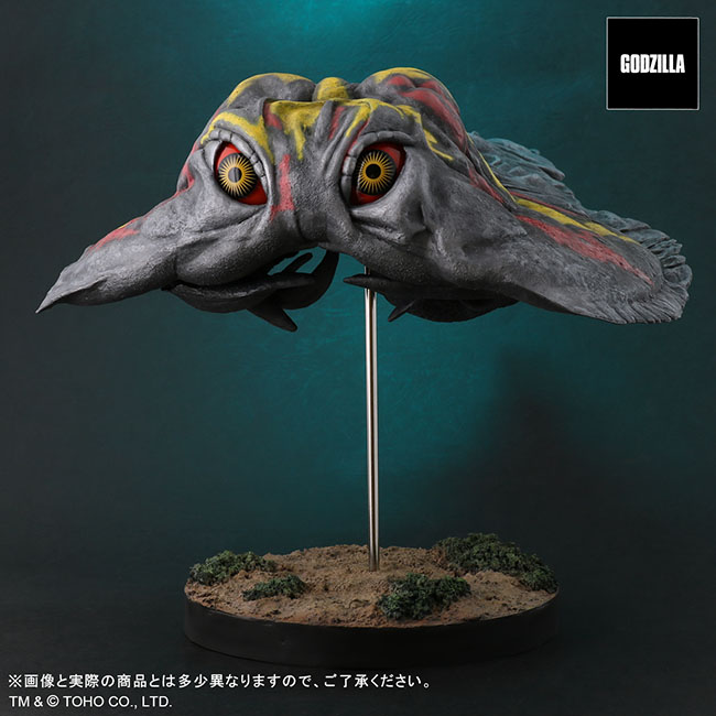一般版