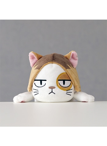 ケンマネコ
