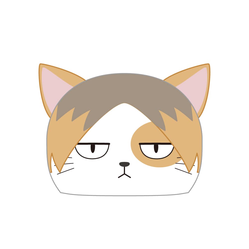 ケンマネコ