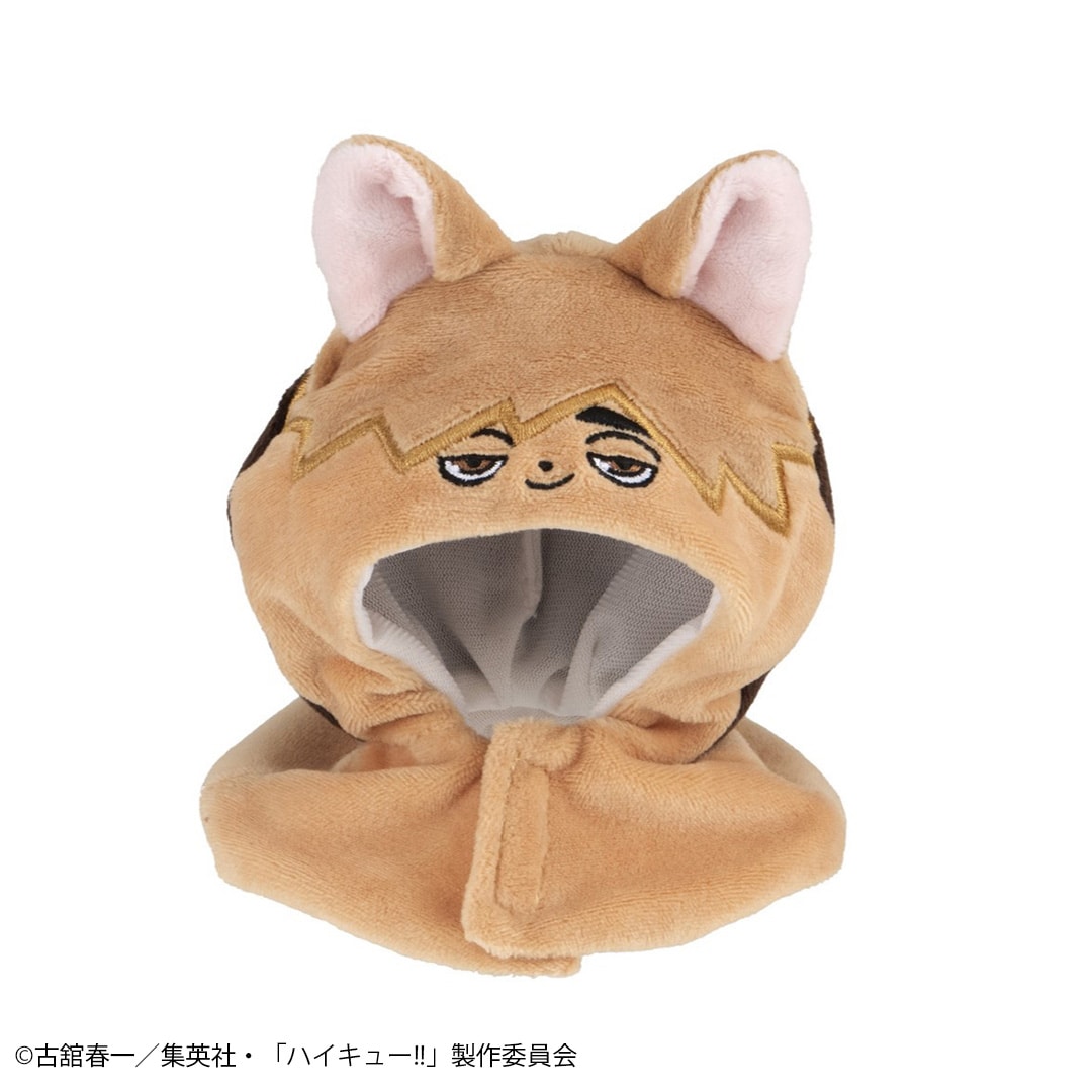 ツムキツネ