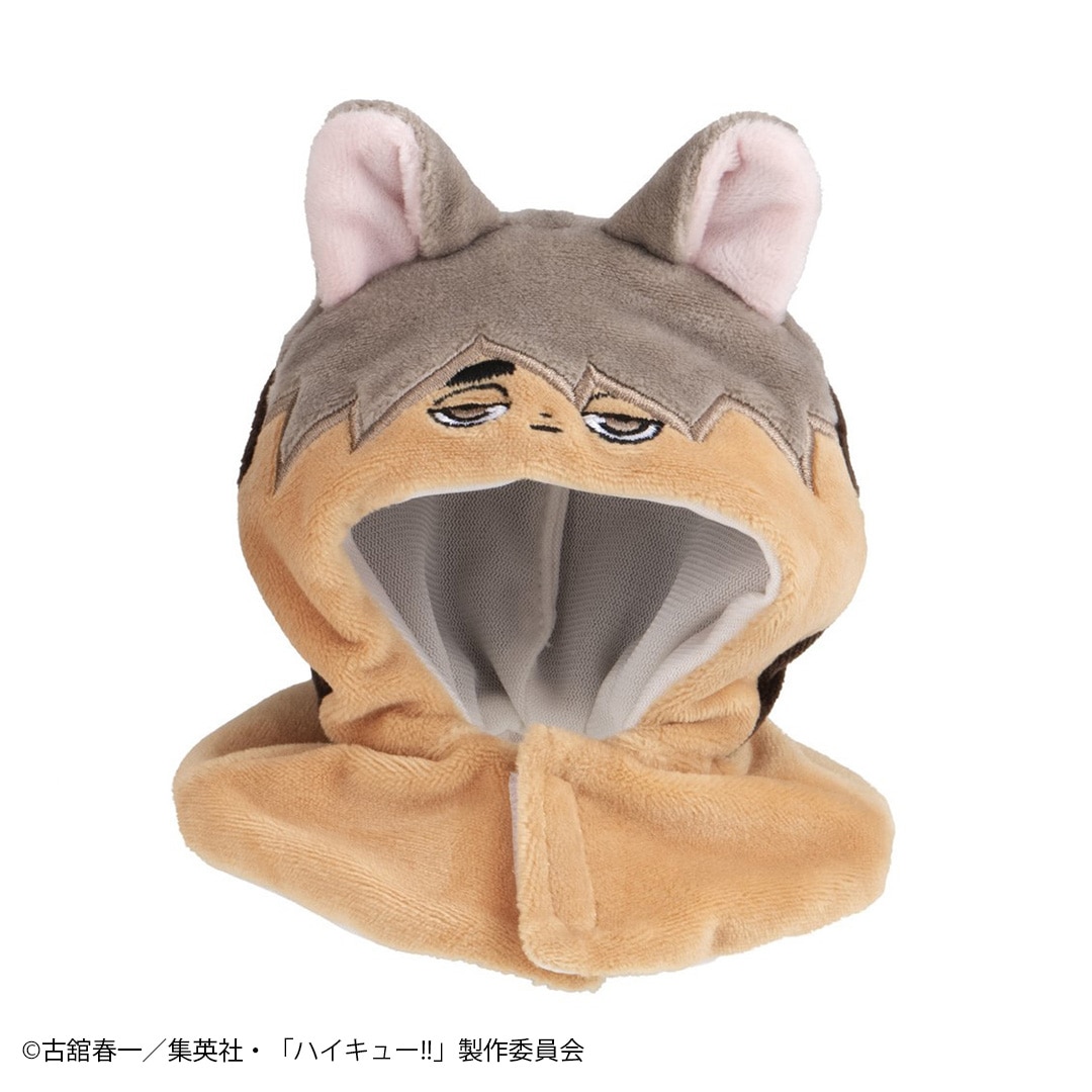 サムキツネ