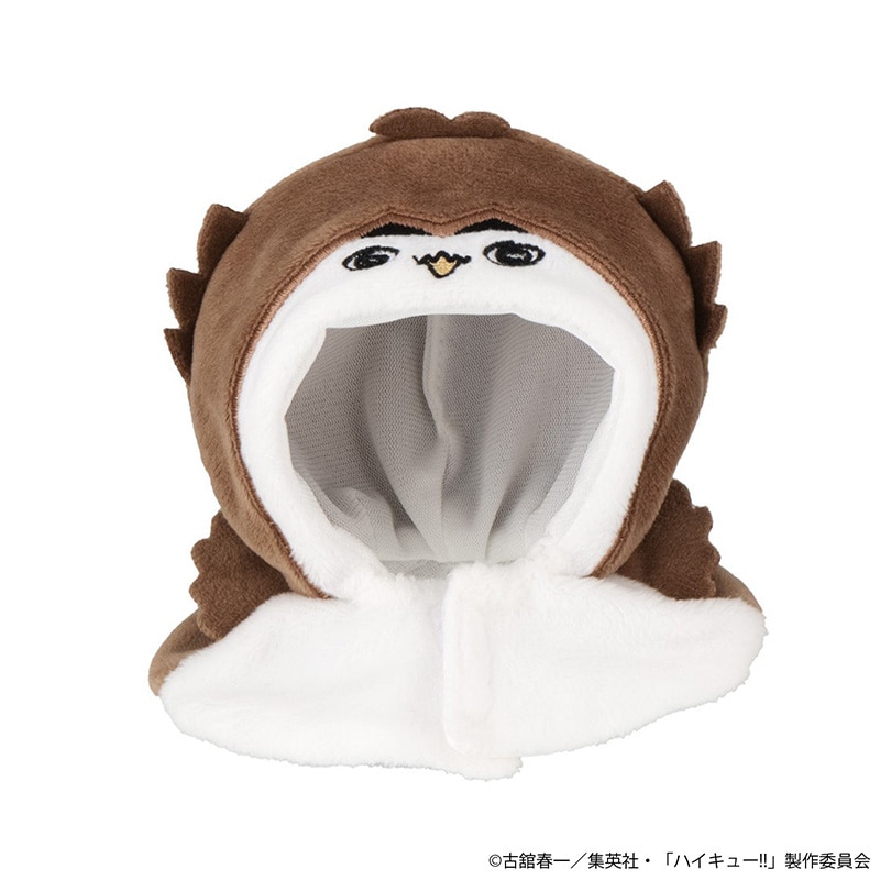 アカアシフクロウ