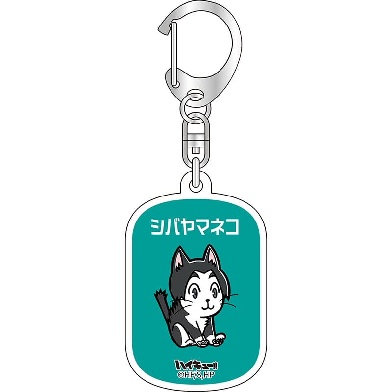 シバヤマネコ