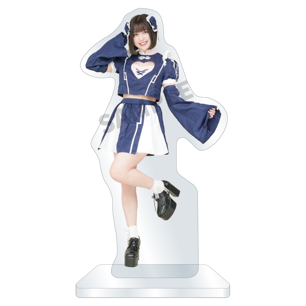サイン無し ビッグ タイプA